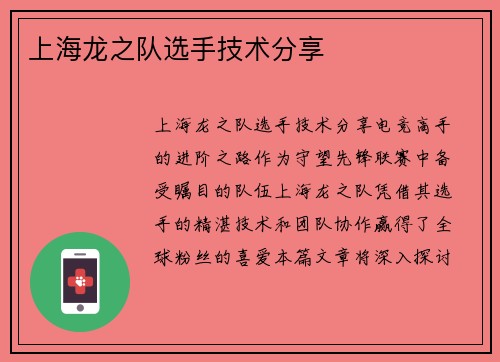 上海龙之队选手技术分享
